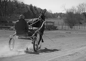Harness Racing