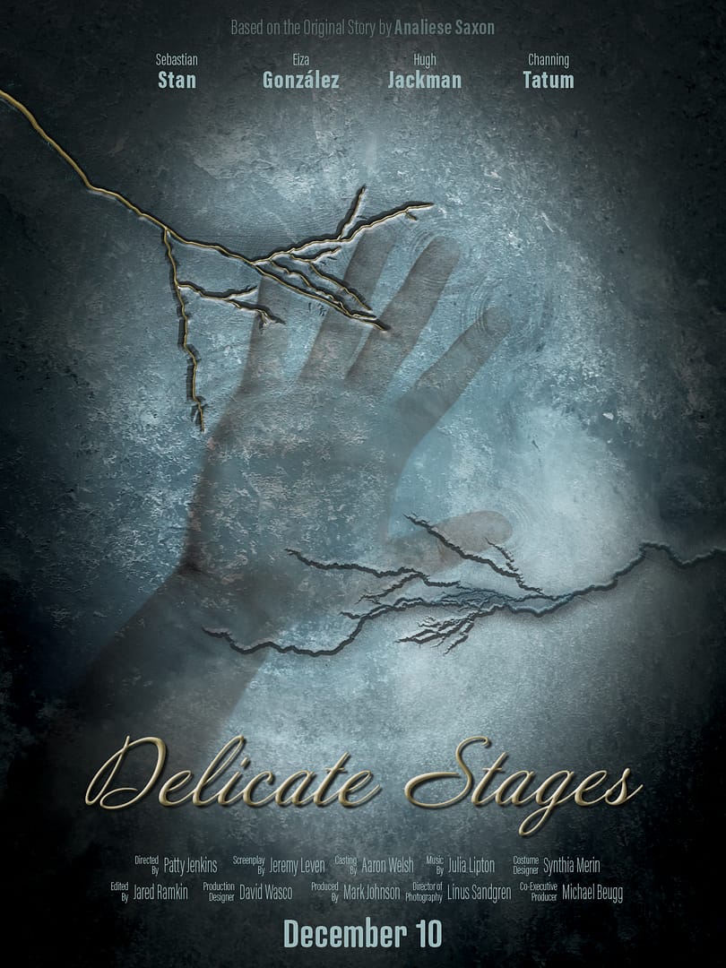 Delicate Stages Poster 2 Delicate Stages Poster 2